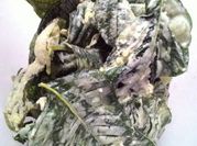 Gambar bayam crispy