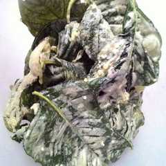 รูปของ Kripik bayam (krispi anti gagal) gk pake ribet