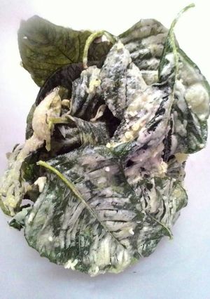 Foto resep Kripik bayam (krispi anti gagal) gk pake ribet