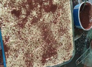 O poză a rețetei Tiramisu de casa din 3 ingrediente.