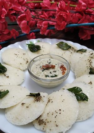 A picture of Samak Sabudana Idli.