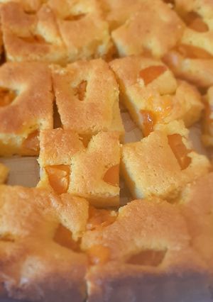 Gyümölcsös lepény recept fotója
