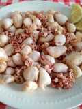 Frittura di calamaretti