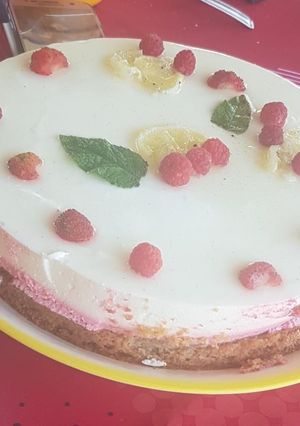 A picture of Lemon and Raspberry Bavarois.