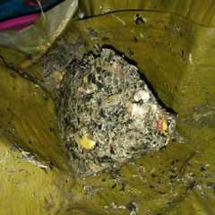 รูปของ Botok lamtoro,tahu tempe,& daun simbukan