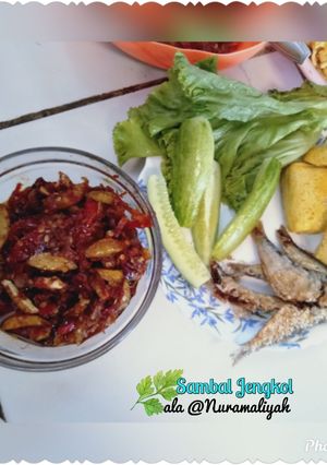 Foto resep Sambal Jengkol