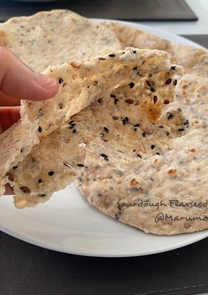 A picture of Sourdough Flaxseed Pita Bread.