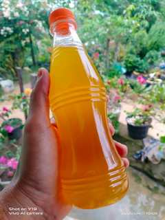 Foto resep Sirup Jeruk Kunci (Biang)