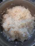 Gohan Arroz Base del Onigiri