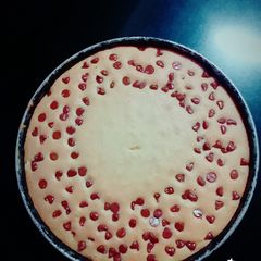 A picture of Choco Chip Vanilla cake.
