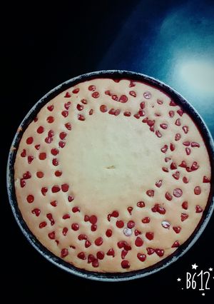 A picture of Choco Chip Vanilla cake.