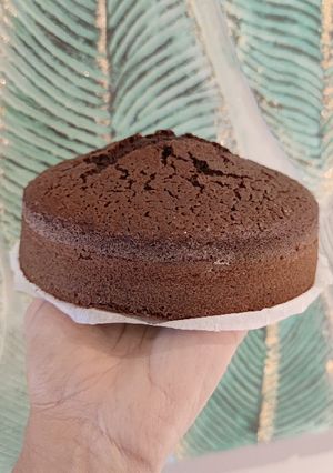 Una foto de Bizcocho de chocolate tierno y esponjoso