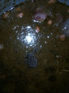 عکسی از دستور قرمه سبزی خودم پز