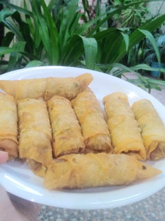 A picture of Spring roll.