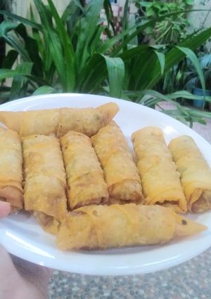A picture of Spring roll.