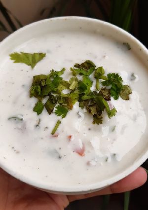 A picture of Onion tomato raita.