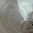Merengue