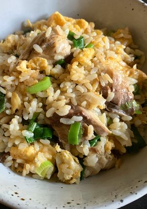 A picture of Mackerel Fried Rice.