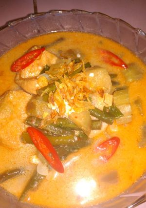 Foto resep Lodeh terong kacang panjang + tahu