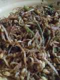 Pecel maknyus