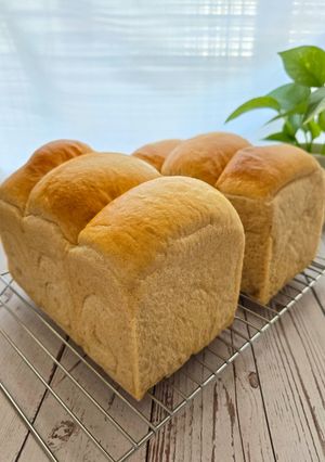 麥香鮮奶吐司 的食譜成品照片