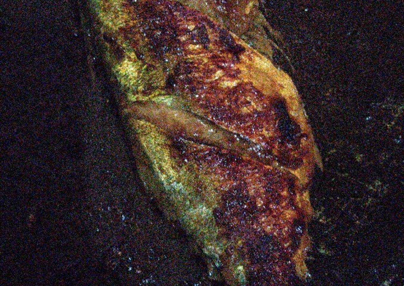 Ikan Bakar Teflon