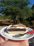 Relleno para bizcocho de Molle (fruta silvestre de Paraguay)