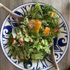 A picture of Fennel citrus salad.