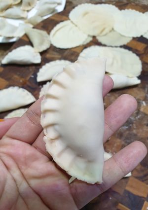 Hình của món Hoành thánh làm bằng máy philip.