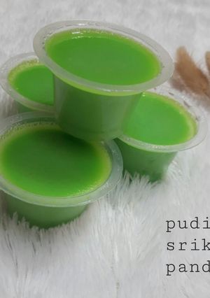 Foto resep 14.Puding srikaya pandan