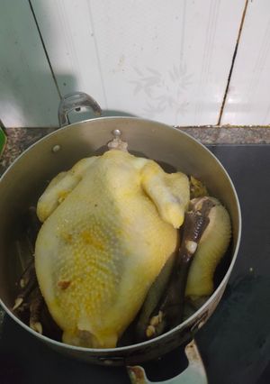 Hình của món Gà luộc không nước.