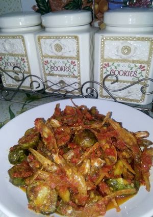 Foto resep Sambal Jengkol terong ikan asin