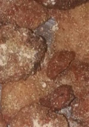 अरबी फ्राई(Arbi fry recipe in Hindi) रेसिपी मुख्य फोटो