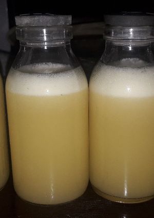Foto resep Jus sehat asam urat
