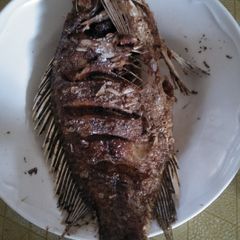 A picture of Fried fish.