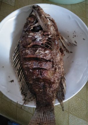 A picture of Fried fish.