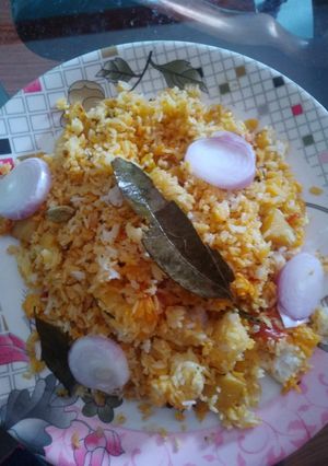 A picture of Veg Biryani.