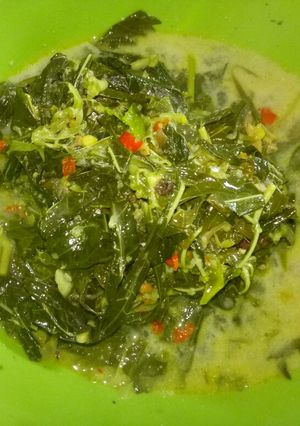 Foto resep Daun singkong/ubi santan +teri