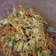 Asinan Sayur Syeger ~