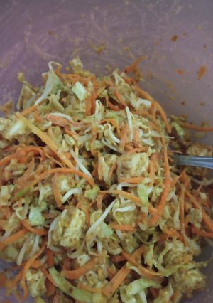 Foto resep Asinan Sayur Syeger ~