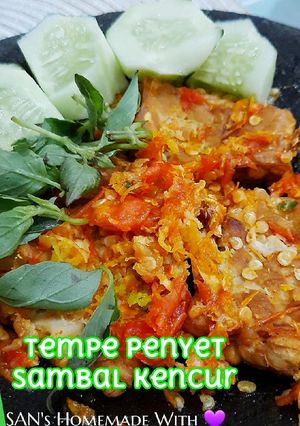 Foto resep Tempe Penyet Sambal Kencur (Simpelll cuma 15 menit)