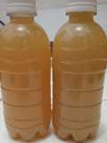 Puyang Jahe Merah healthy