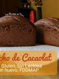 Bizcocho de Cacaolat (Sin gluten, Sin lactosa, Sin huevo, FODMAP)