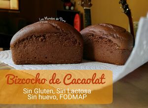 Foto principal de Bizcocho de Cacaolat (Sin gluten, Sin lactosa, Sin huevo, FODMAP)