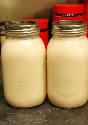 A picture of Coquito.