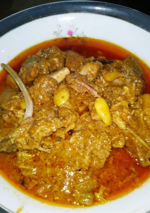 A picture of Mutton korma.