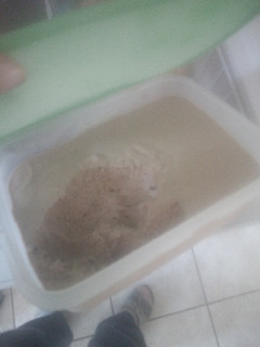 A picture of Milo icecream.