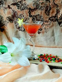 A picture of Watermelon Mojito.