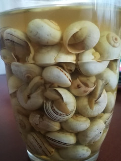 Una foto de Caracoles receta de mi madre