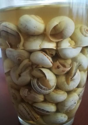 Una foto de Caracoles receta de mi madre